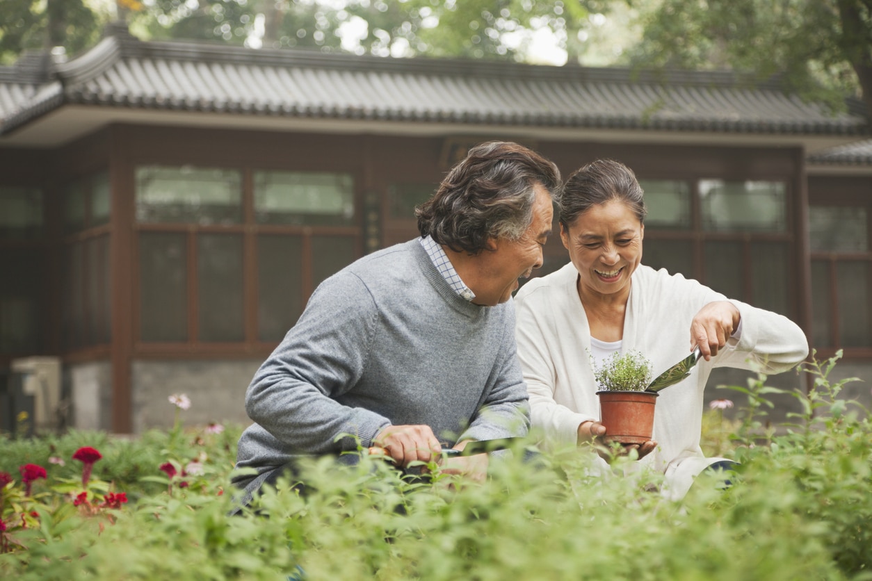 Senior couple gardening